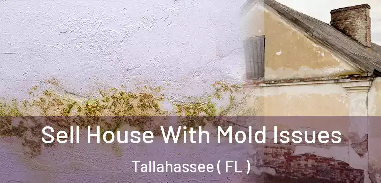  Sell House With Mold Issues Tallahassee ( FL )